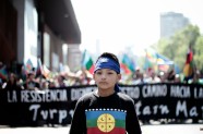 resistencia mapuche
